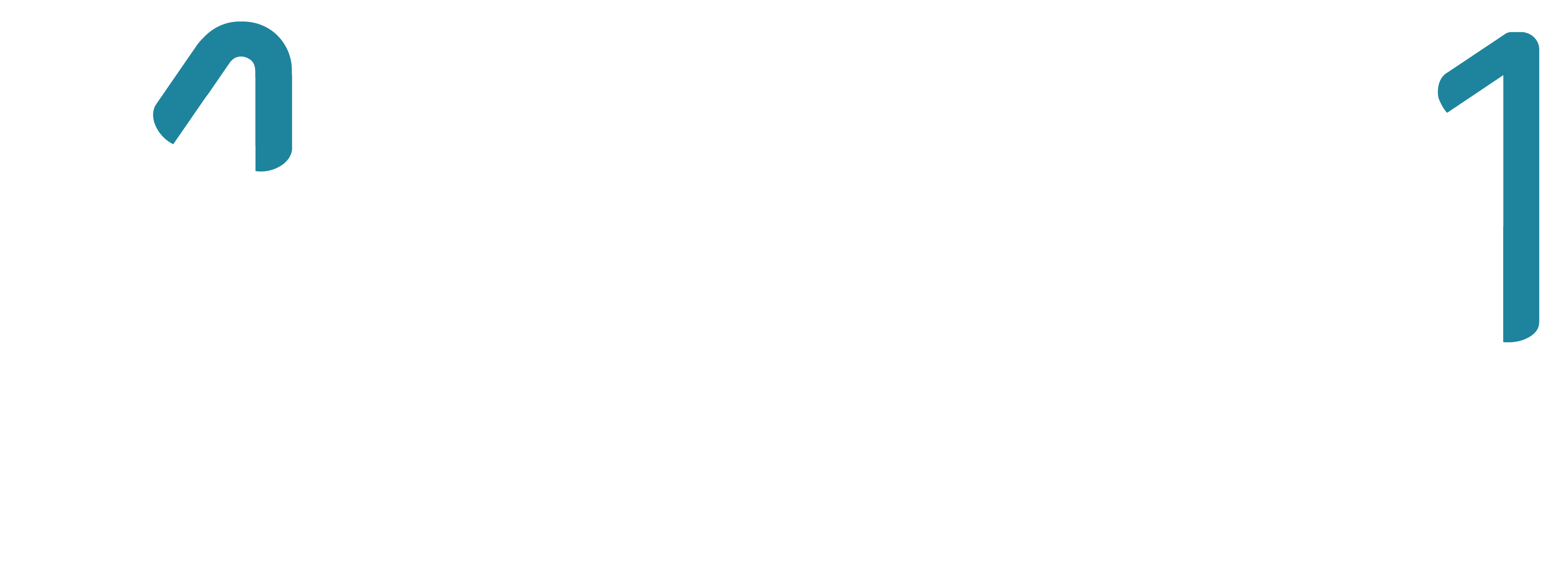 ASSET 1 | Investment Company