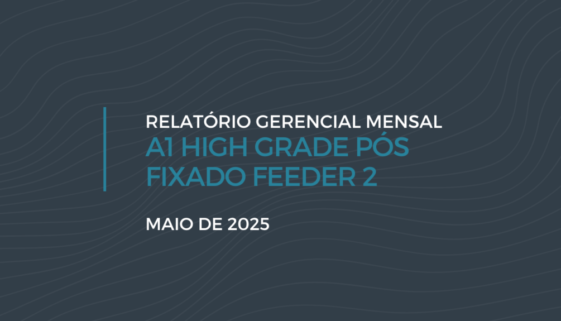 RELATORIO GERENCIAL MENSAL - A1 HEDGE FIC FIM (1)